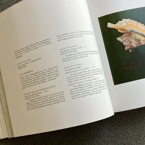 The Shell - coffee table book - Picture 10 of 11